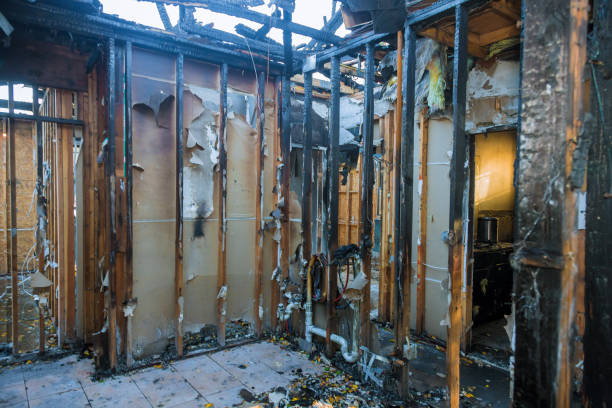Professional Fire Damage Assessment technician working in Derma, MS